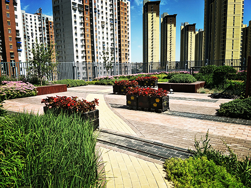 園冶杯專業(yè)獎(jiǎng)：工業(yè)大學(xué)附中低碳屋頂花園