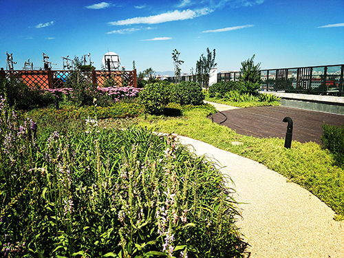 園冶杯專業獎:景山學校分校低碳屋頂花園