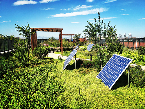 園冶杯專業獎:景山學校分校低碳屋頂花園