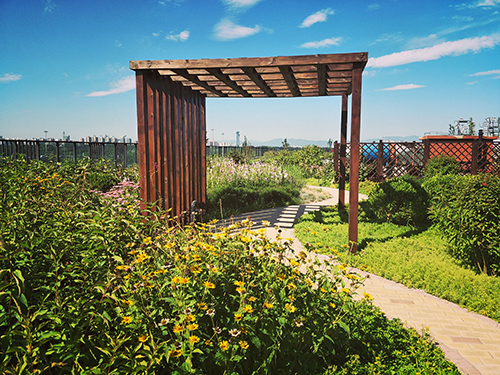 園冶杯專業獎:景山學校分校低碳屋頂花園