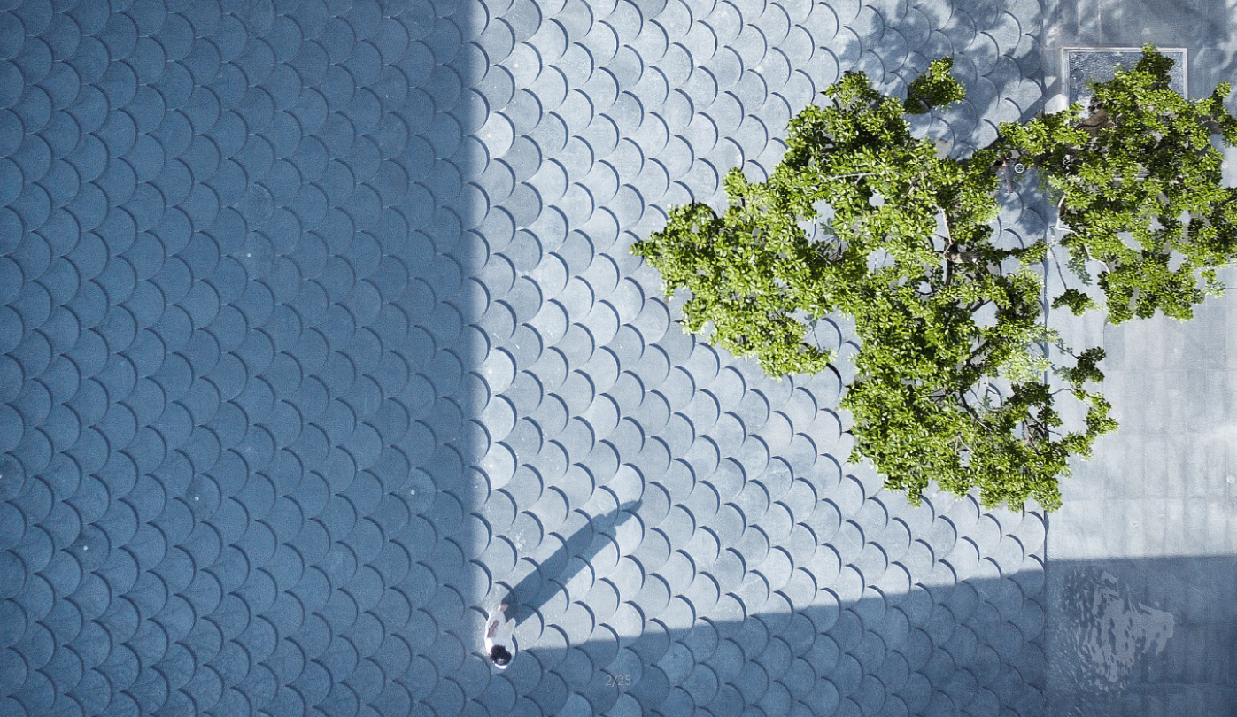 園冶杯專業獎：廣州龍湖云峰原著