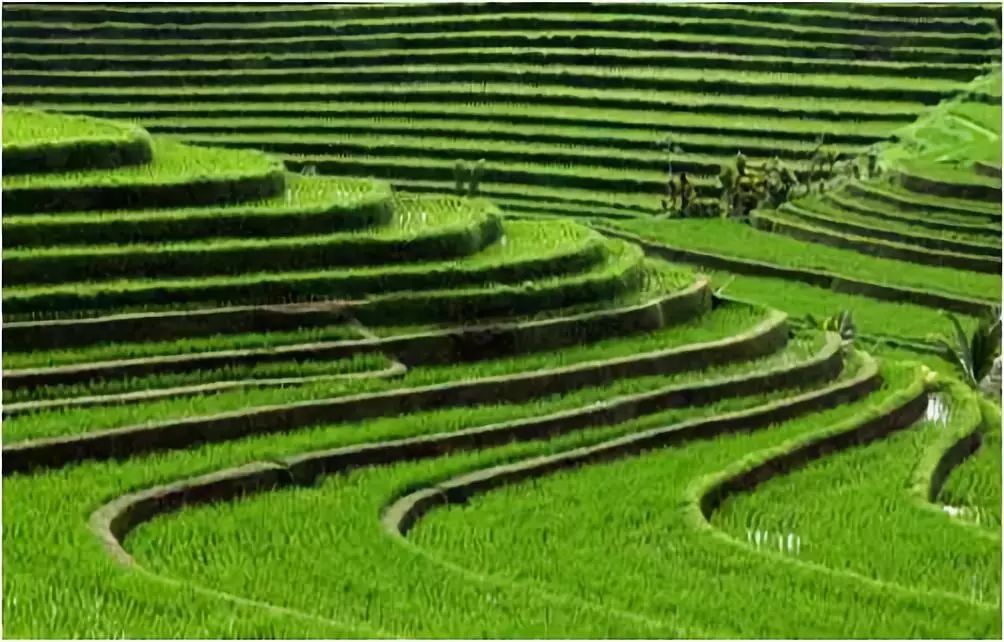 李建偉:美麗鄉(xiāng)村道