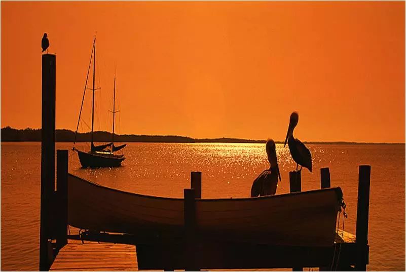 李建偉:美麗鄉(xiāng)村道