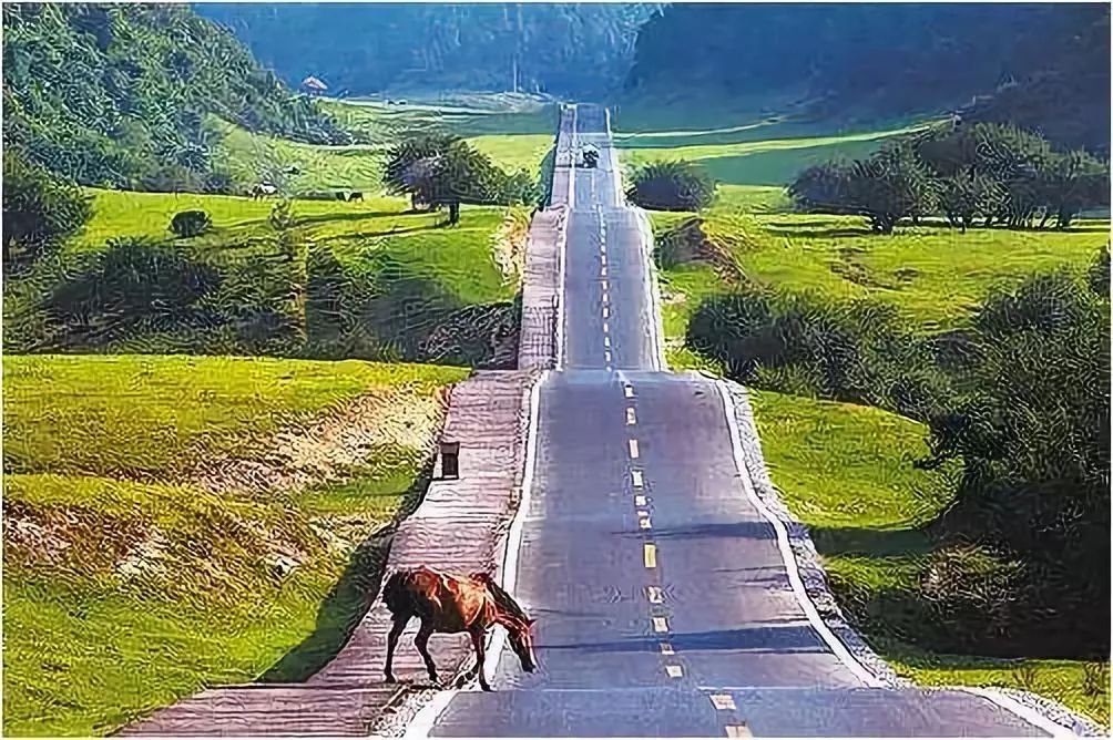 李建偉:美麗鄉(xiāng)村道