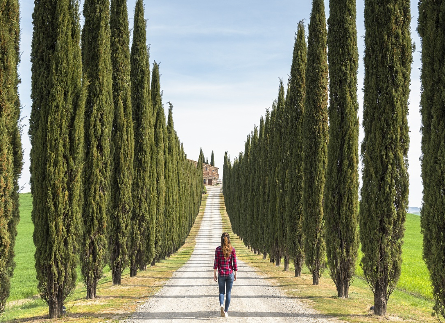 李建偉:美麗鄉(xiāng)村道