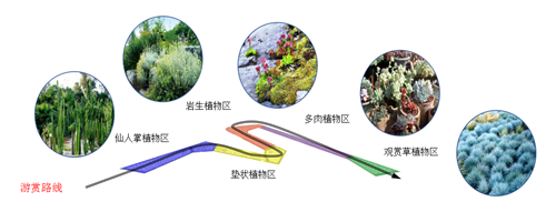 河北省第二屆園博會花境作品——碣石仙臺