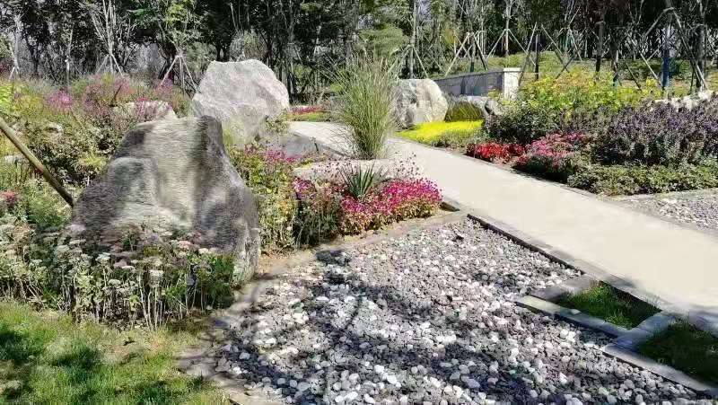 河北省第二屆園博會花境作品——碣石仙臺