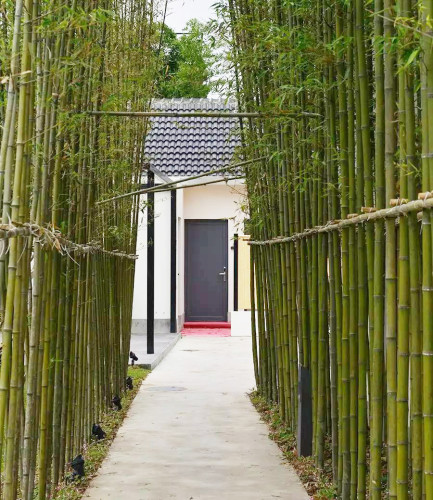 園冶杯專業(yè)獎(jiǎng):上海川沙馨廬精品民宿景觀設(shè)計(jì)