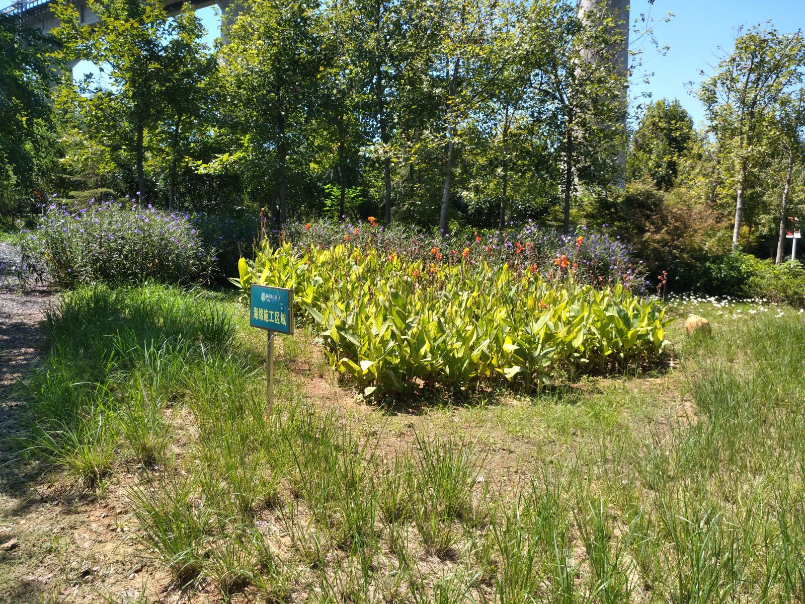 敬畏自然，與自然共生