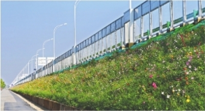 武漢：閑置用地將這樣變身百萬平方米花海