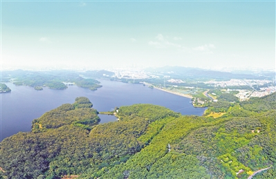 東莞城市設計：造“翡翠項鏈”建活力城區