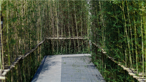 園冶杯專業獎:保利江門?云上西棠田園綜合體示范區