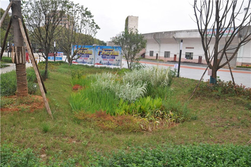 云南省第一座會呼吸的“海綿體育公園”