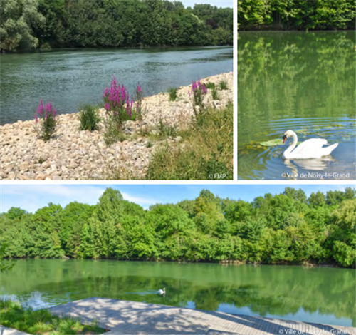 園冶杯專業獎:大諾瓦西市馬恩河岸