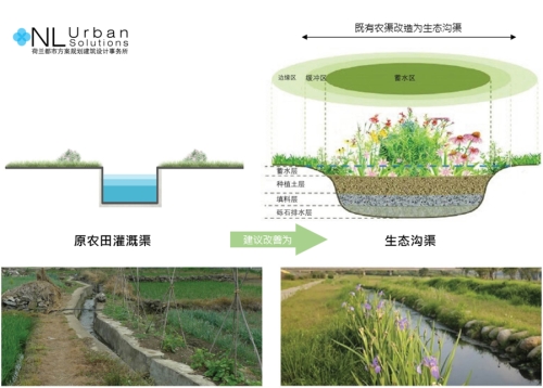 園冶杯專業(yè)獎:安順市邢江河上游水環(huán)境治理