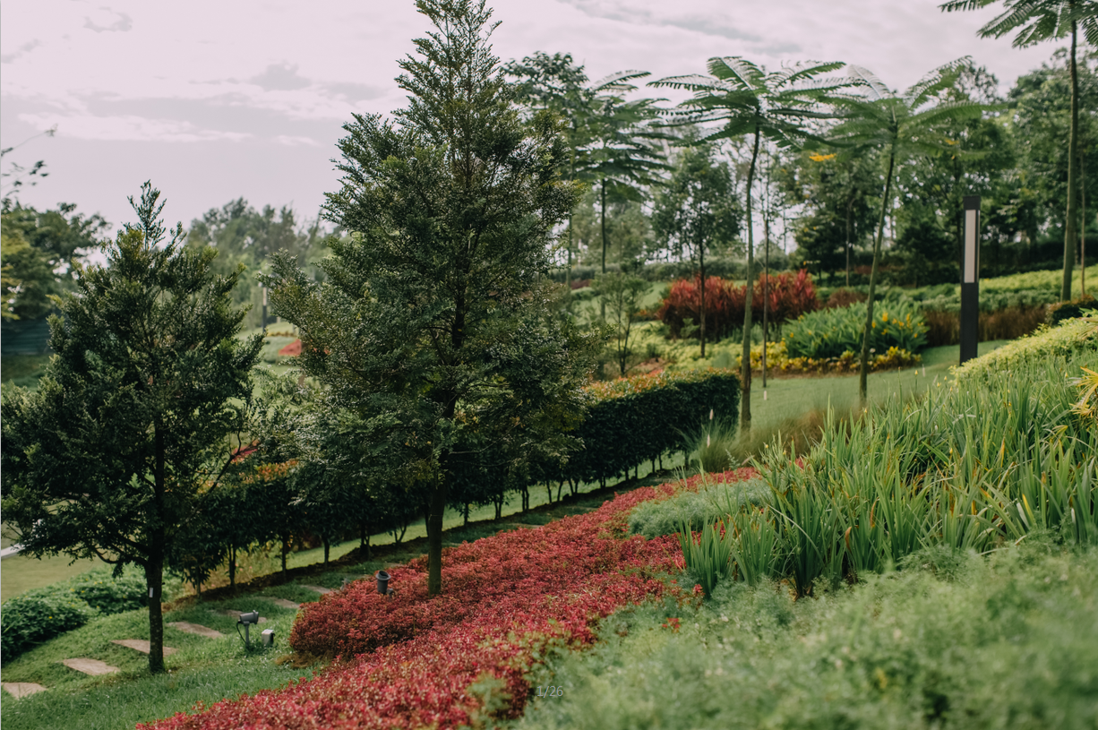 園冶杯專業(yè)獎：M公園畫廊
