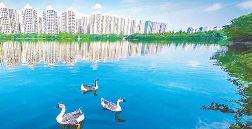 引領城市未來，中國“公園城市”建設前路美好