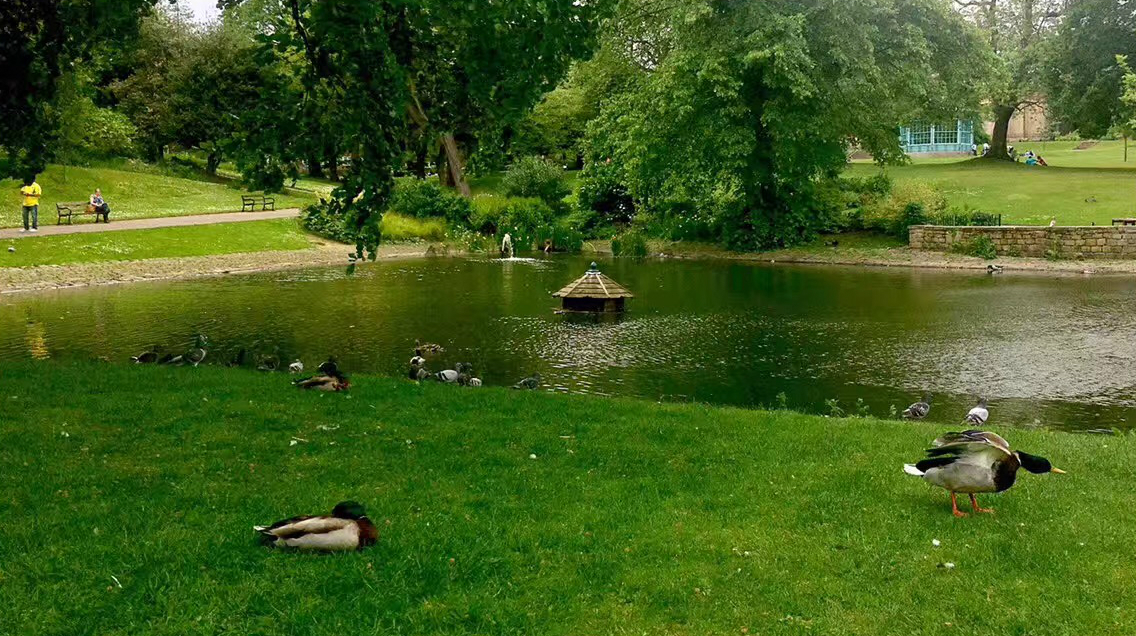 引領城市未來，中國公園城市建設前路美好