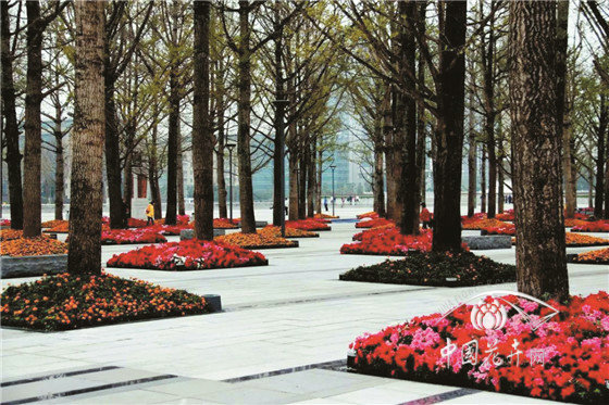 如何做好樹陣景觀