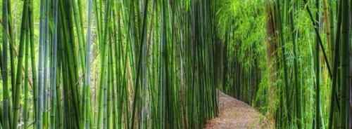 AECOM:廣西陽朔悅榕莊酒店景觀設(shè)計(jì)