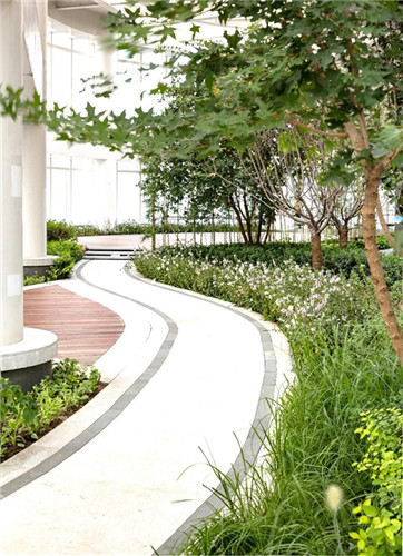 園冶杯專業獎:中航資本大廈超高層屋頂花園