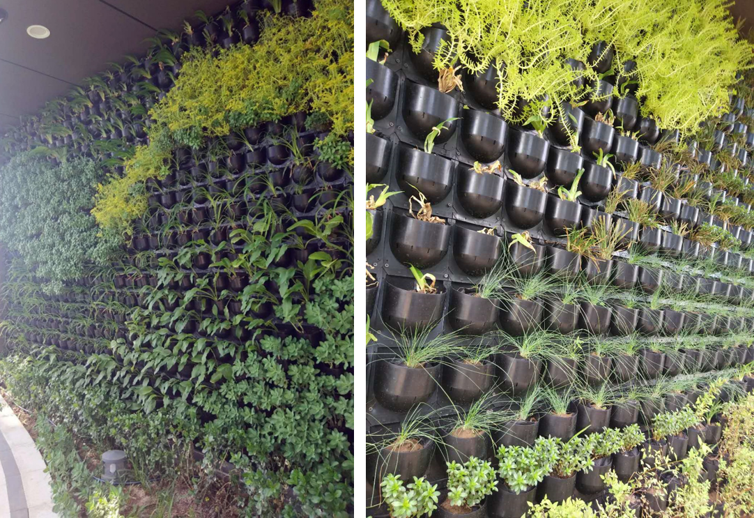 園冶杯專業獎:中航資本大廈超高層建筑屋頂花園