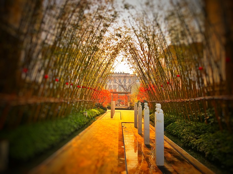 園冶杯專業獎：建業海馬九如府