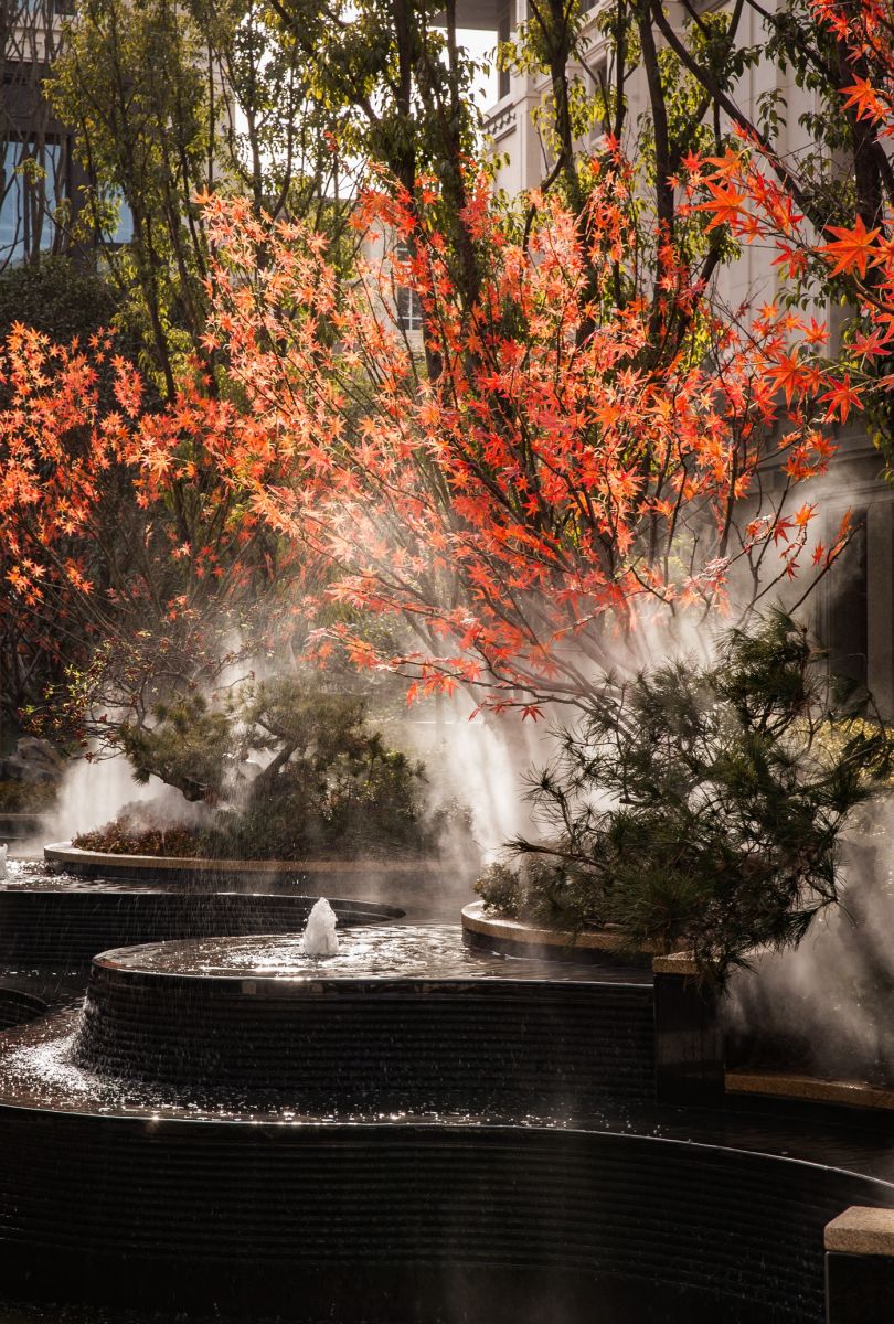 園冶杯專業獎：建業海馬九如府