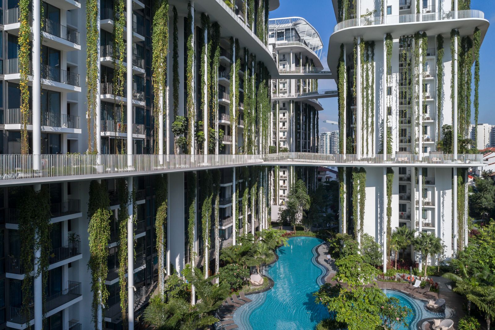 園冶杯專業(yè)獎:The Tembusu