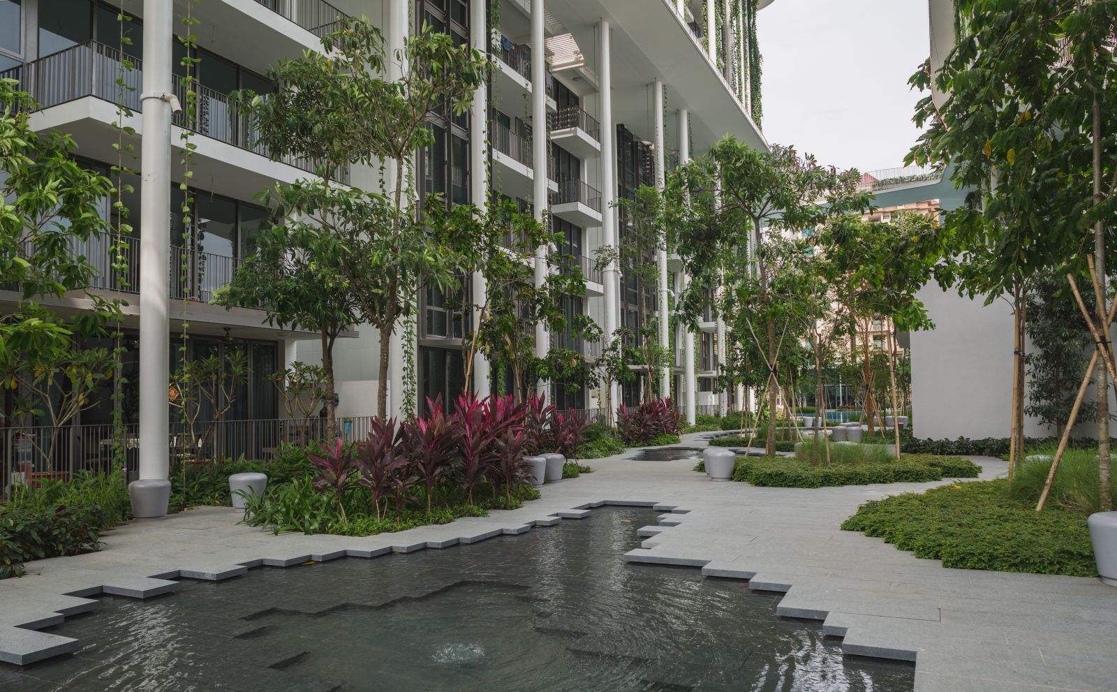 園冶杯專業(yè)獎:The Tembusu