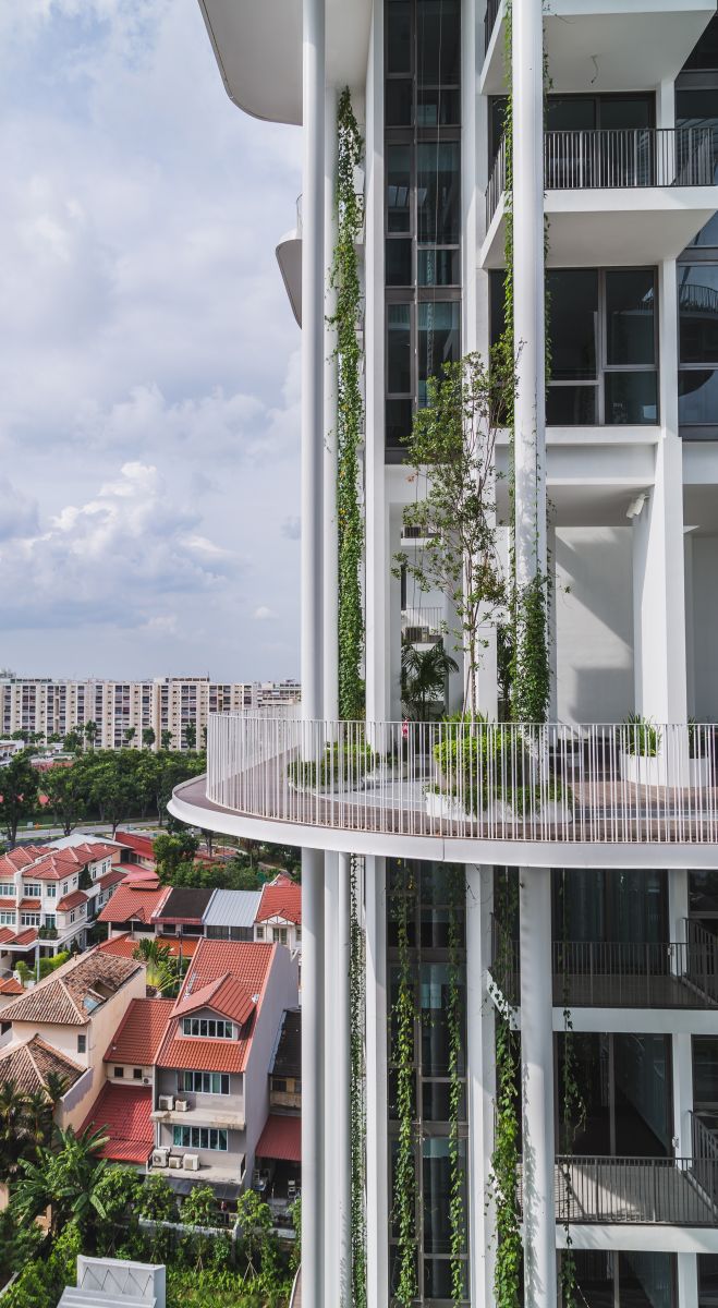 園冶杯專業(yè)獎:The Tembusu