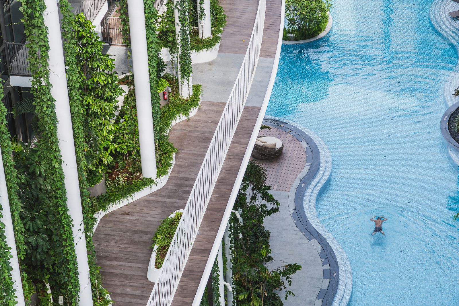 園冶杯專業(yè)獎:The Tembusu