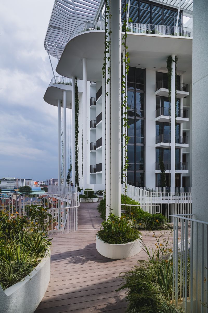 園冶杯專業(yè)獎:The Tembusu