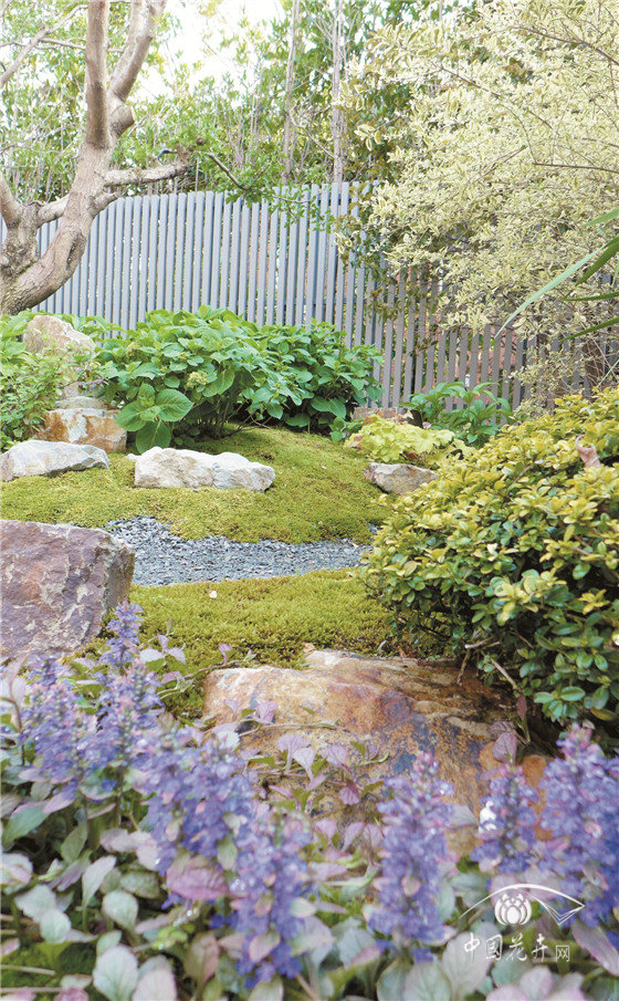 “境味”分明的禪意美園