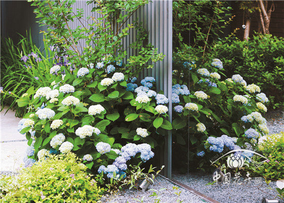 “境味”分明的禪意美園