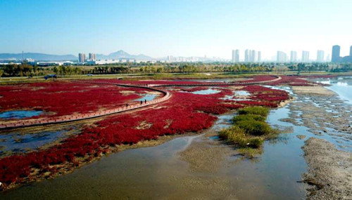 園冶杯大獎設計師鐘輝：做讓人有認同感的設計