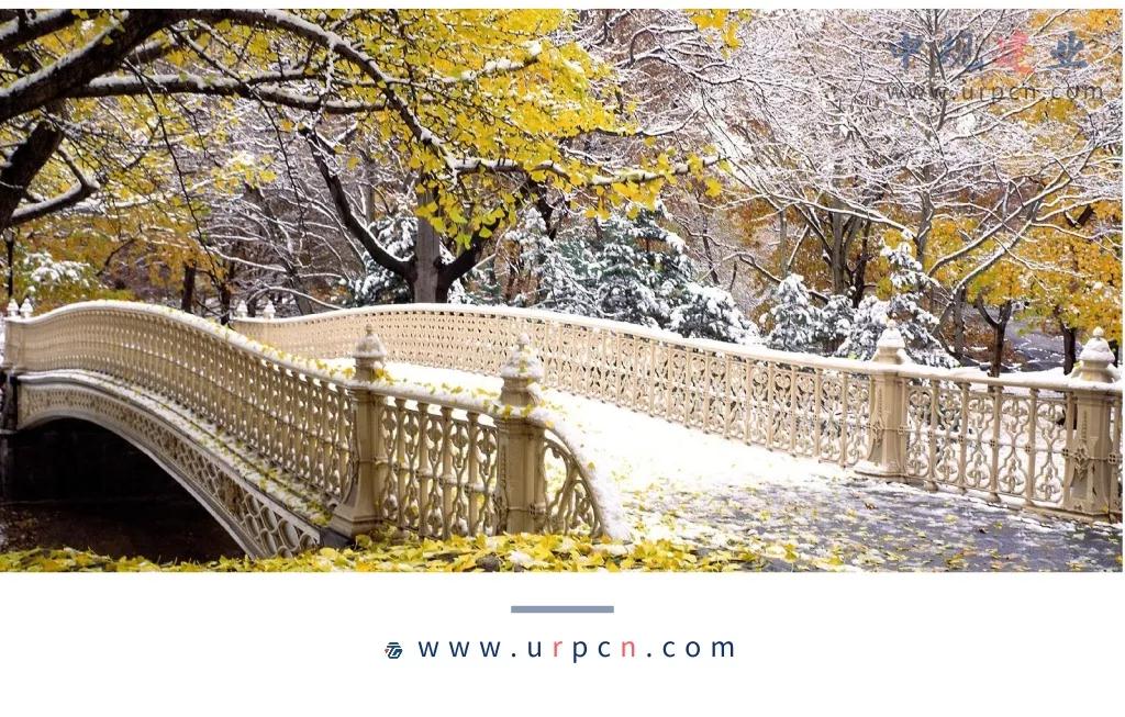 金廣君:城市設(shè)計如何在中國生根