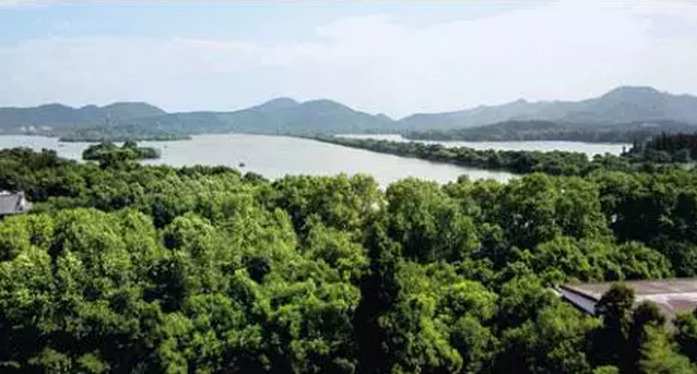 王向榮《景觀筆記:自然·文化·設計》