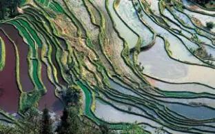 王向榮《景觀筆記:自然·文化·設計》