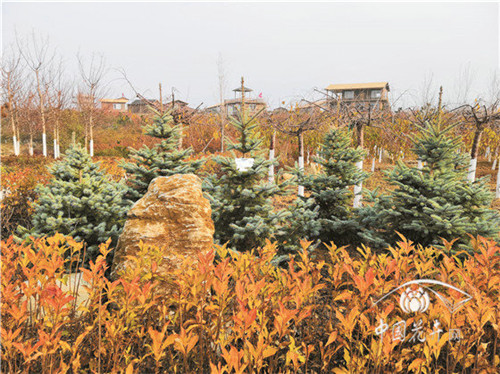 如何打造植物五行風(fēng)水綠化環(huán)境