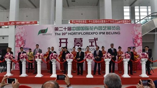 2018中國花卉市場回顧:風云變幻 電商崛起