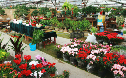 2018中國花卉市場回顧:風云變幻 電商崛起