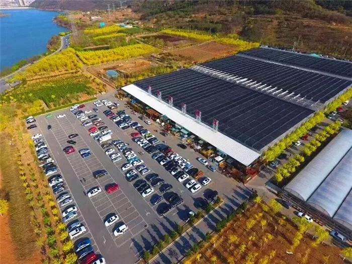 大連西郊園藝超市于2月11日起停業整改