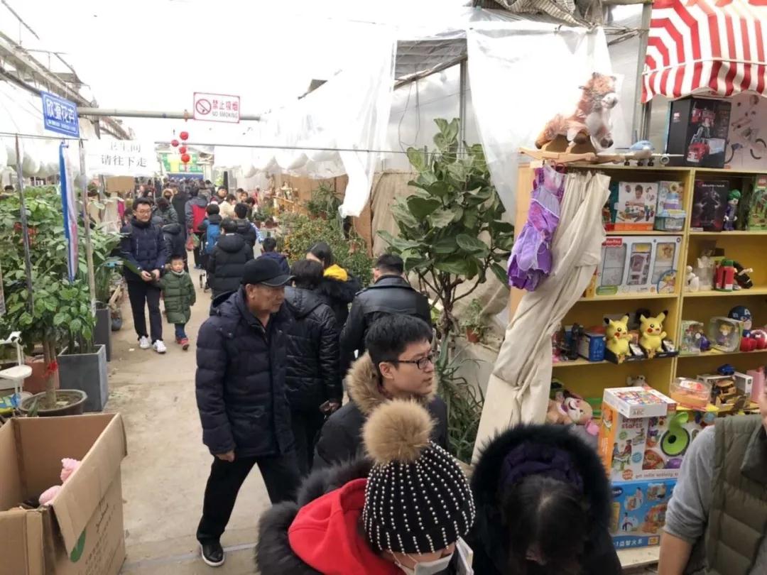 大連西郊園藝超市于2月11日起停業整改