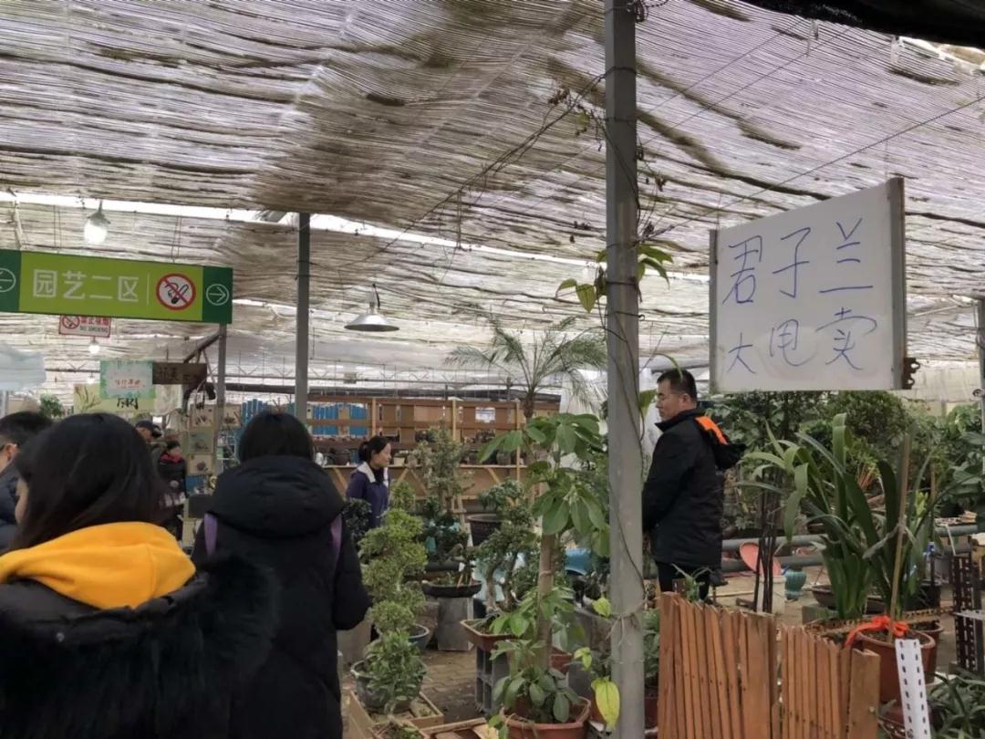 大連西郊園藝超市于2月11日起停業整改