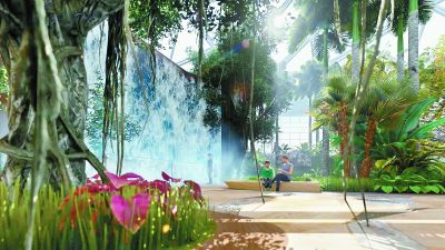 神秘紅樹林走進(jìn)世園植物館