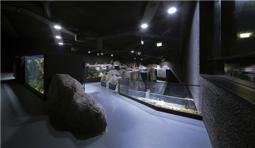 卡爾洛瓦茨淡水水族館和河流博物館