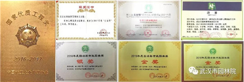 武漢園林設計院2019崗位已備好,“職”等你來選