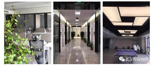 武漢園林設計院2019崗位已備好,“職”等你來選