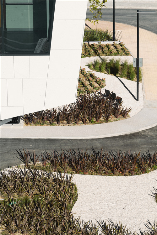 馬德里奧唐納街療養(yǎng)院花園